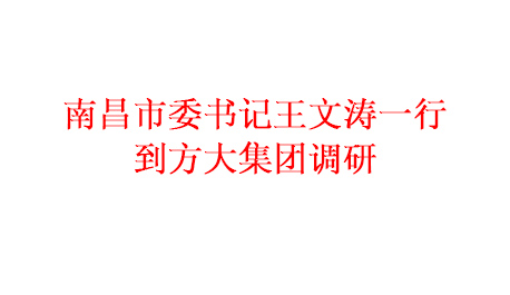 为推进项目建设 加快产业发展南昌市委书记王文涛一行到PG电子集团调研
